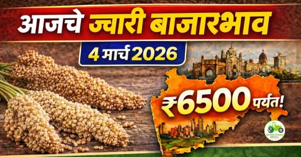 आजचे ज्वारी बाजारभाव 4 मार्च 2026 | महाराष्ट्रातील प्रमुख मंडई दर