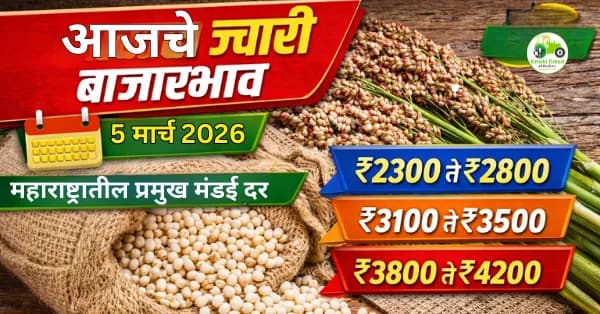 आजचे ज्वारी बाजारभाव 5 मार्च 2026 | महाराष्ट्रातील प्रमुख मंडई दर
