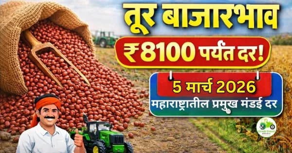 आजचे तूर बाजारभाव 5 मार्च 2026 | महाराष्ट्रातील प्रमुख मंडई दर