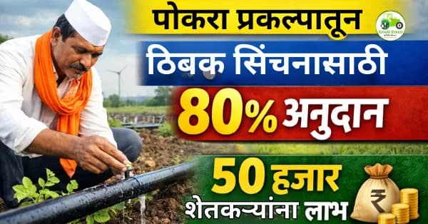 पोकरा प्रकल्पातून ठिबक सिंचनासाठी 80% अनुदान | 50 हजार शेतकऱ्यांना लाभ