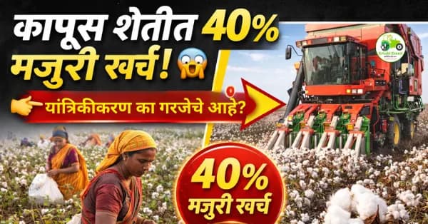 भारतामधील कापूस शेतीत 40% मजुरी खर्च: यांत्रिकीकरण का गरजेचे आहे?
