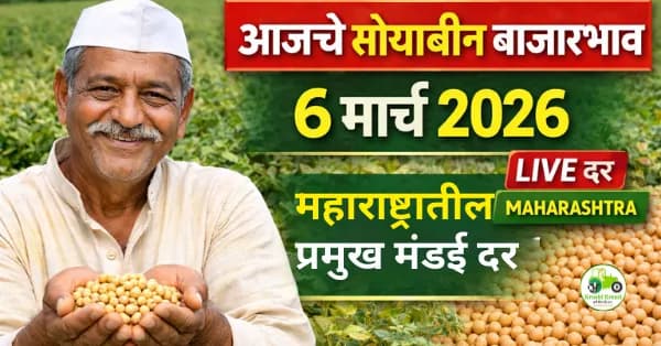 आजचे सोयाबीन बाजारभाव 6 मार्च 2026 | महाराष्ट्रातील प्रमुख मंडई दर