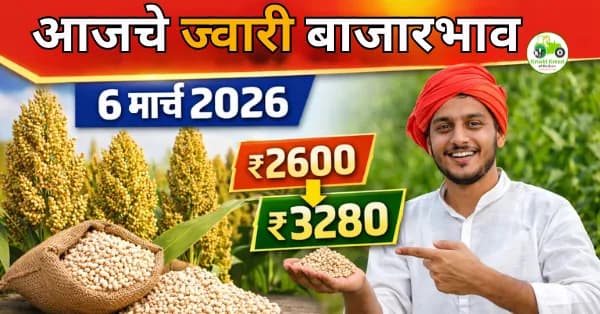 आजचे ज्वारी बाजारभाव 6 मार्च 2026 | महाराष्ट्रातील प्रमुख मंडई दर