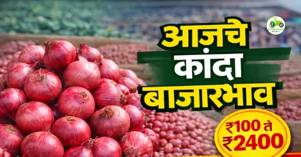 आजचे कांदा बाजारभाव 7 मार्च 2026 | महाराष्ट्रातील प्रमुख मंडई कांदा दर