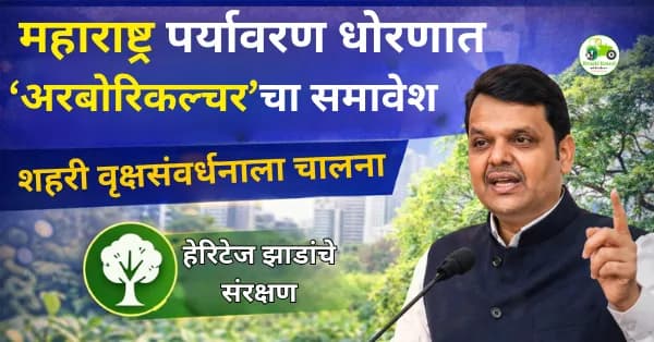 महाराष्ट्र पर्यावरण धोरणात ‘अरबोरिकल्चर’चा समावेश | शहरी वृक्षसंवर्धनाला चालना