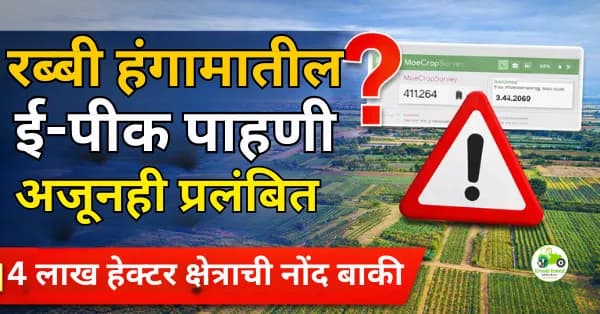 रब्बी हंगामातील ई-पीक पाहणी अजूनही प्रलंबित | 4 लाख हेक्टर क्षेत्राची नोंद बाकी
