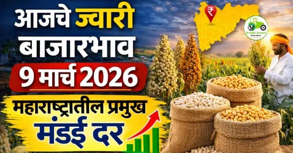आजचे ज्वारी बाजारभाव 9 मार्च 2026 | महाराष्ट्रातील प्रमुख मंडई दर
