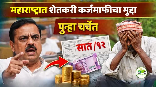 महाराष्ट्रात शेतकरी कर्जमाफीचा मुद्दा पुन्हा चर्चेत | सातबारा कोरा करण्याची मागणी