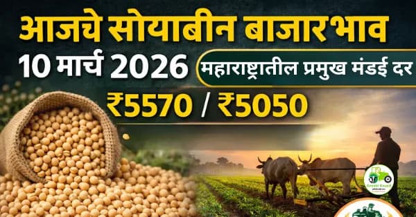 आजचे सोयाबीन बाजारभाव 10 मार्च 2026 | महाराष्ट्रातील प्रमुख मंडई दर