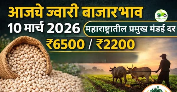 आजचे ज्वारी बाजारभाव 10 मार्च 2026 | महाराष्ट्रातील प्रमुख मंडई दर