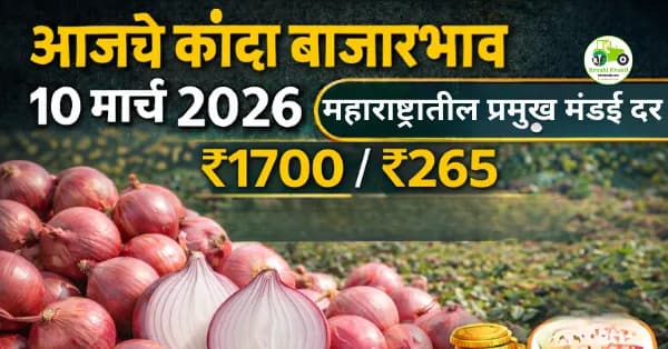 आजचे कांदा बाजारभाव 10 मार्च 2026 | महाराष्ट्रातील प्रमुख मंडई कांदा दर