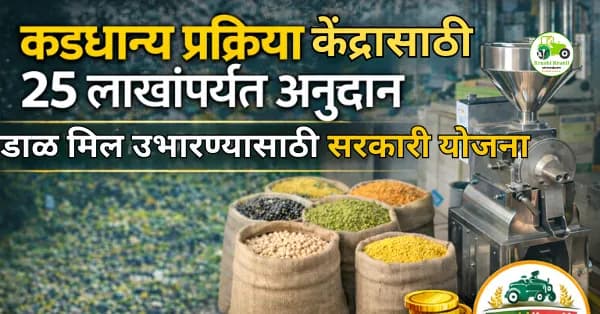 कडधान्य प्रक्रिया केंद्रासाठी 25 लाखांपर्यंत अनुदान | डाळ मिल उभारण्यासाठी सरकारी योजना