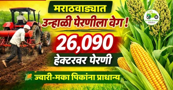 मराठवाड्यात उन्हाळी पेरणीला वेग | २६,०९० हेक्टरवर पेरणी, ज्वारी-मका पिकांना प्राधान्य