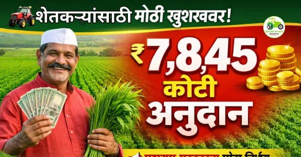 रब्बी हंगामासाठी ७,८४५ कोटींचे अनुदान | मराठवाडा-विदर्भातील शेतकऱ्यांना मोठा दिलासा