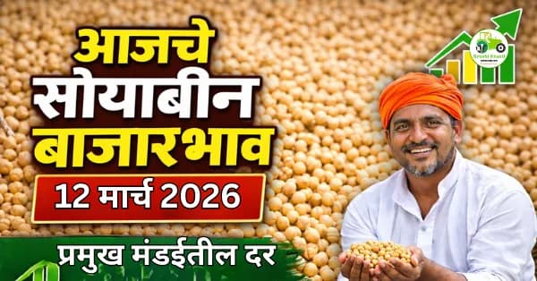 आजचे सोयाबीन बाजारभाव 12 मार्च 2026 | महाराष्ट्रातील प्रमुख मंडईतील दर