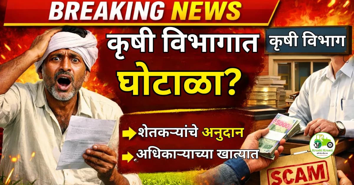 कृषी विभागात मोठा घोटाळा? शेतकऱ्यांचे अनुदान अधिकाऱ्याच्या खात्यात वळवल्याचा आरोप