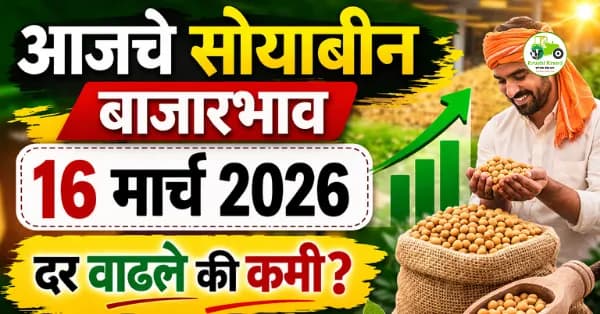 आजचे सोयाबीन बाजारभाव 16 मार्च 2026 | महाराष्ट्रातील प्रमुख मंडईतील ताजे दर