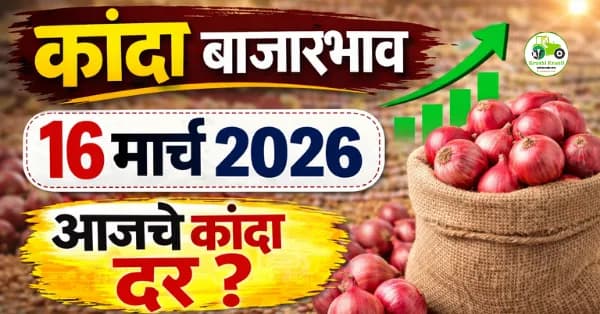 आजचे कांदा बाजारभाव 16 मार्च 2026 | महाराष्ट्रातील ताजे कांदा दर