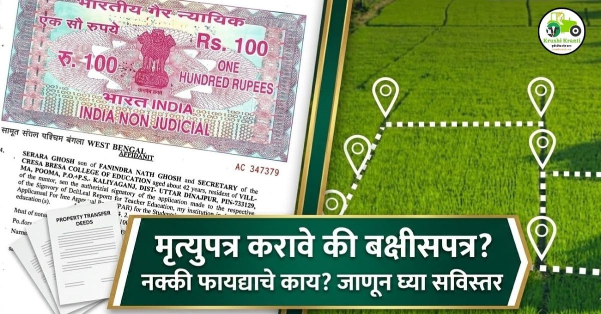 मृत्युपत्र करावे की बक्षीसपत्र; नक्की फायद्याचे काय? जाणून घ्या सविस्तर