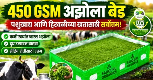 ४५० GSM अझोला बेड | पशुखाद्य व हिरवळीच्या खतासाठी सर्वोत्तम (UV Protected)