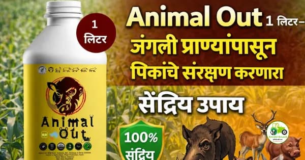 Animal Out 1 लिटर – जंगली प्राण्यांपासून पिकांचे संरक्षण करणारा सेंद्रिय उपाय
