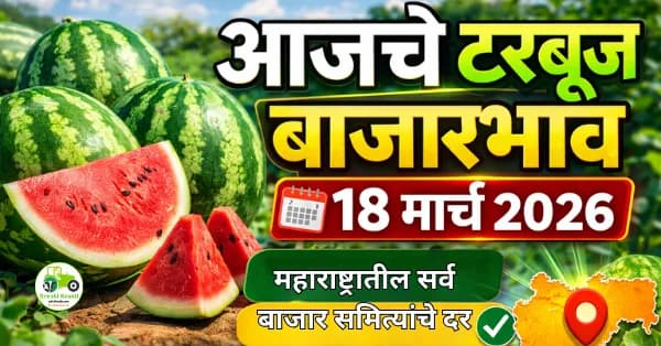आजचे टरबूज बाजारभाव 18 मार्च 2026 | महाराष्ट्रातील ताजे टरबूज दर