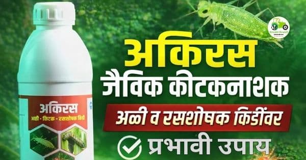 अकिरस जैविक कीटकनाशक: अळी व रसशोषक किडींवर प्रभावी उपाय
