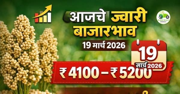  आजचे ज्वारी बाजारभाव (19 मार्च 2026)