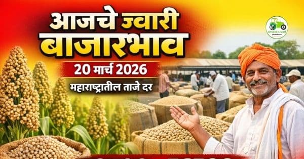 आजचे ज्वारी बाजारभाव 20 मार्च 2026 | महाराष्ट्रातील ताजे ज्वारी दर