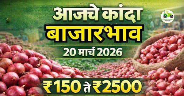 आजचे कांदा बाजारभाव 20 मार्च 2026 | महाराष्ट्रातील ताजे कांदा दर