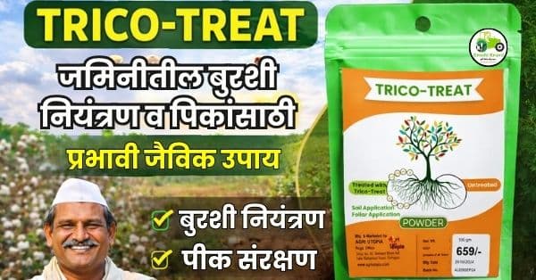 TRICO-TREAT: जमिनीतील बुरशी नियंत्रण व पिकांसाठी प्रभावी जैविक उपाय