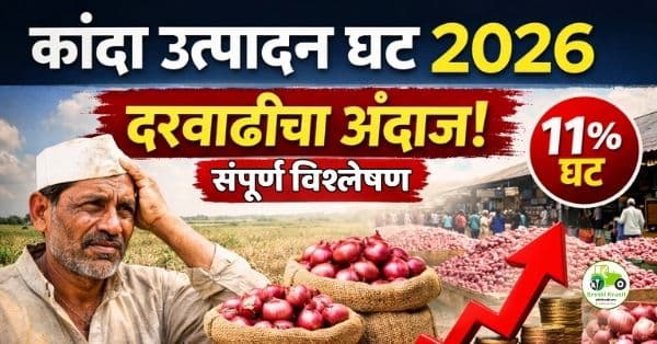 देशातील कांदा उत्पादनात घट – दरवाढीची शक्यता वाढली