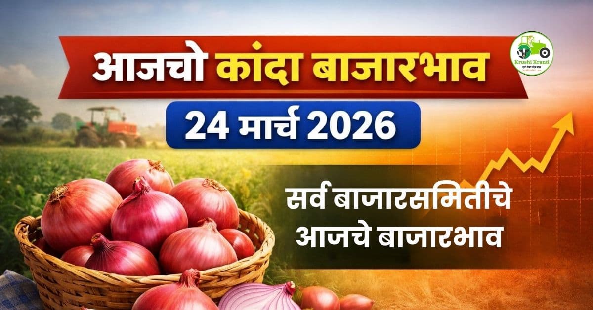 आजचे कांदा बाजारभाव 24 मार्च 2026 | महाराष्ट्र कांदा दर अपडेट