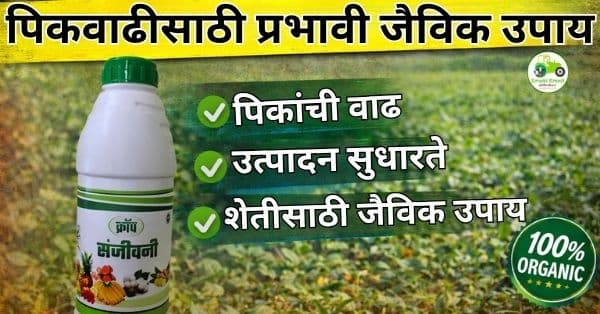 क्रॉप संजीवनी: पिकवाढीसाठी प्रभावी जैविक उपाय