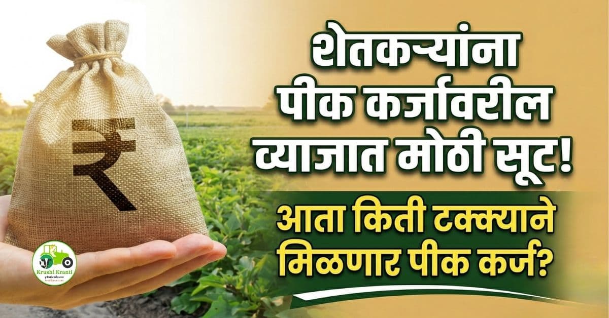 शेतकऱ्यांना पीक कर्जासाठी १ टक्के दराने अर्थसहाय्य; आता किती टक्क्याने मिळणार पीक कर्ज?