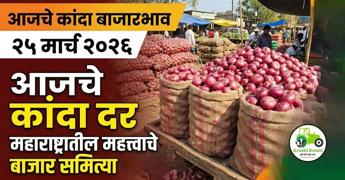 आजचे कांदा बाजारभाव 25 मार्च 2026 | महाराष्ट्रातील ताजे दर आणि सविस्तर विश्लेषण