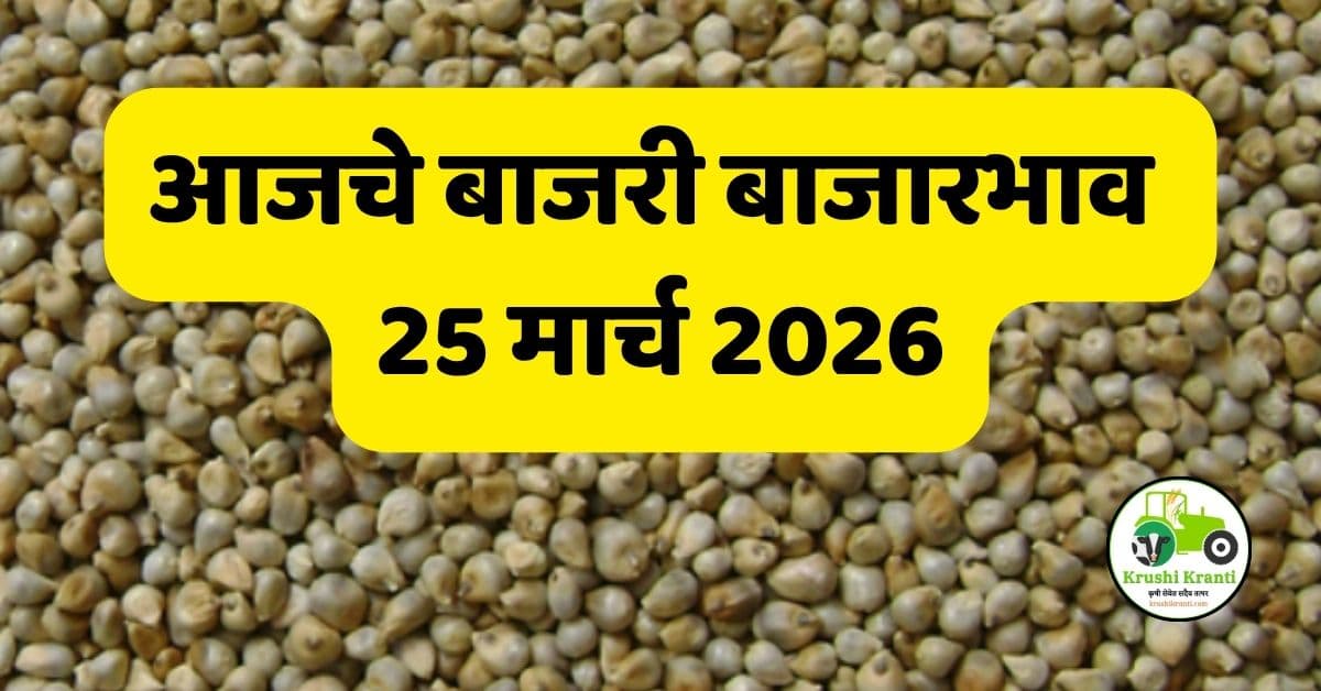 आजचे बाजरी बाजारभाव 25 मार्च 2026 | महाराष्ट्र बाजरी दर