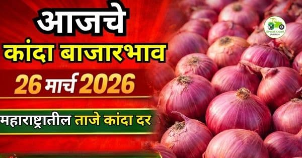 कांदा बाजारभाव (26 मार्च 2026) – महाराष्ट्रातील ताजे दर आणि सविस्तर विश्लेषण