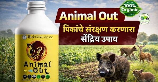 Animal Out: पिकांचे संरक्षण करणारा सेंद्रिय उपाय | जंगली प्राण्यांपासून बचाव