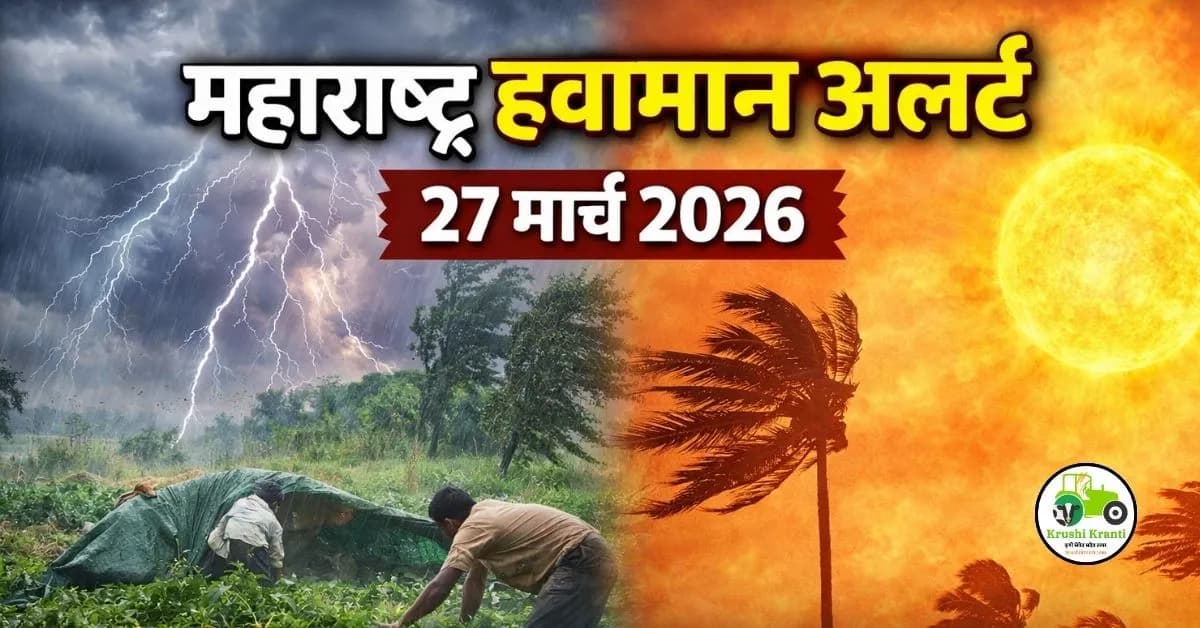 Weather Alert: महाराष्ट्रावर दुहेरी संकट! वादळी वाऱ्यासह पावसाचा इशारा