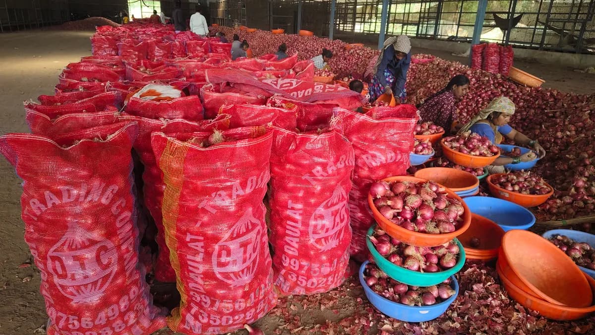 दौलत ट्रेडिंग कंपनी 