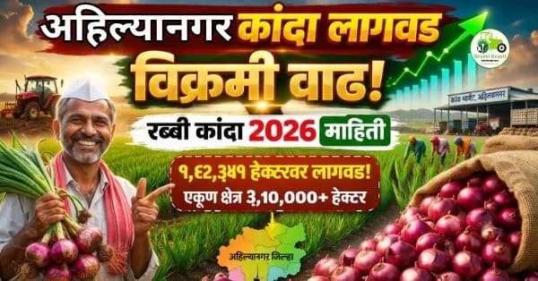 अहिल्यानगर कांदा लागवड विक्रमी वाढ | रब्बी कांदा 2026 माहिती
