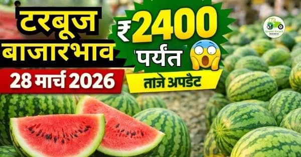 टरबूज बाजारभाव अहवाल 28 मार्च 2026