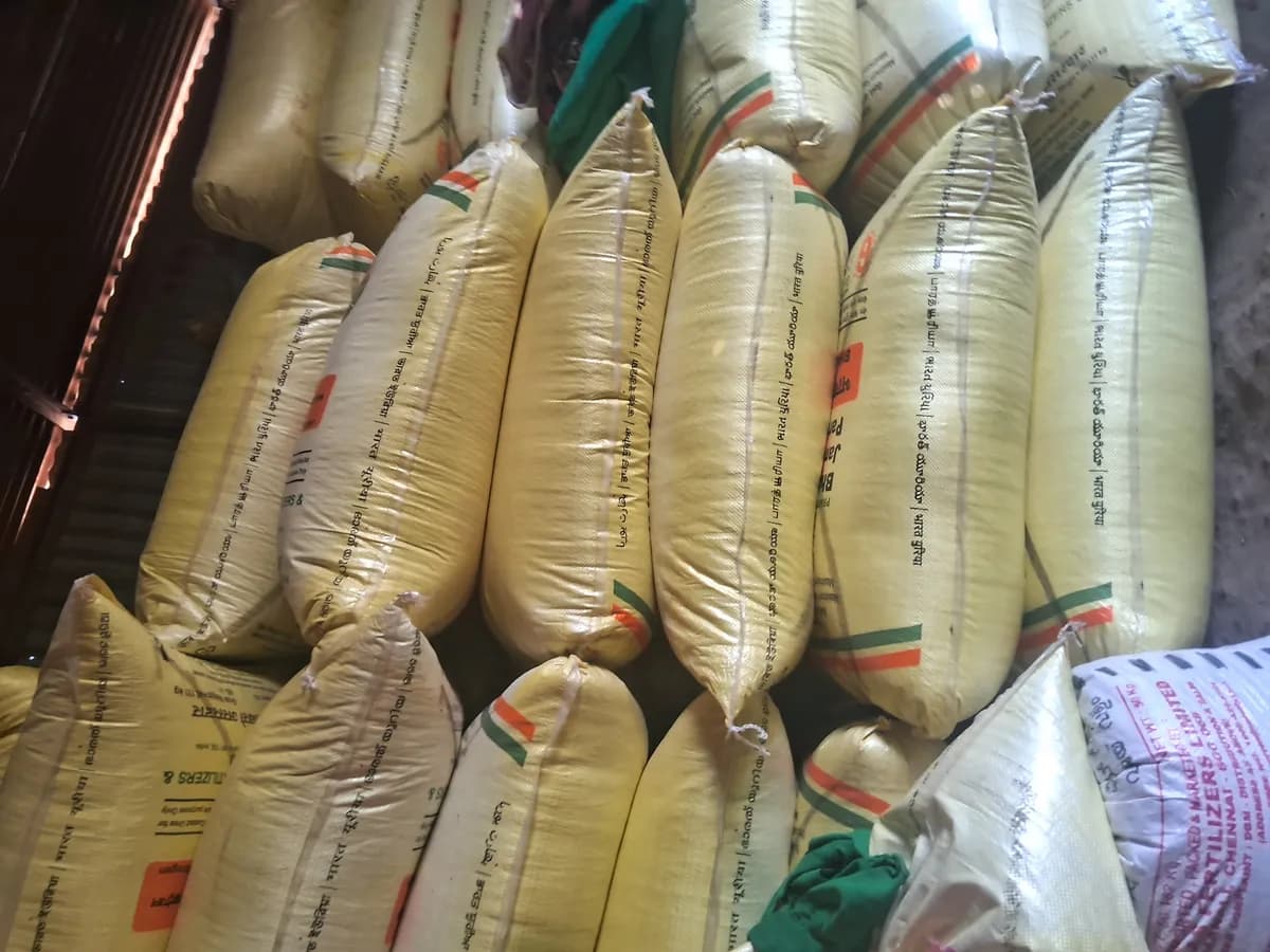 श्रीराम 111 कंपनीचा गहू विक्रीस उपलब्ध