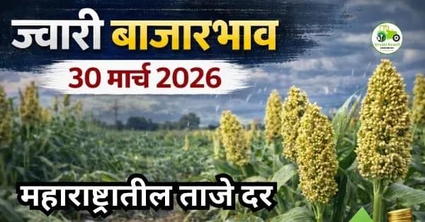 ज्वारी बाजारभाव 30 मार्च 2026 | महाराष्ट्रातील ताजे दर