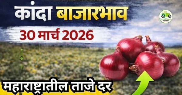 कांदा बाजारभाव 30 मार्च 2026 | महाराष्ट्रातील ताजे दर