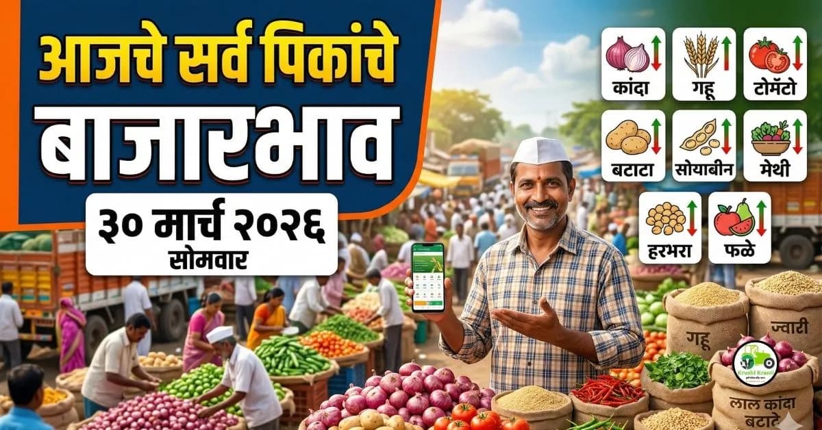 आजचे सर्व पिकांचे बाजारभाव | 30 मार्च 2026 अपडेट