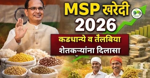 MSP खरेदी 2026 | कडधान्ये व तेलबिया शेतकऱ्यांना दिलासा