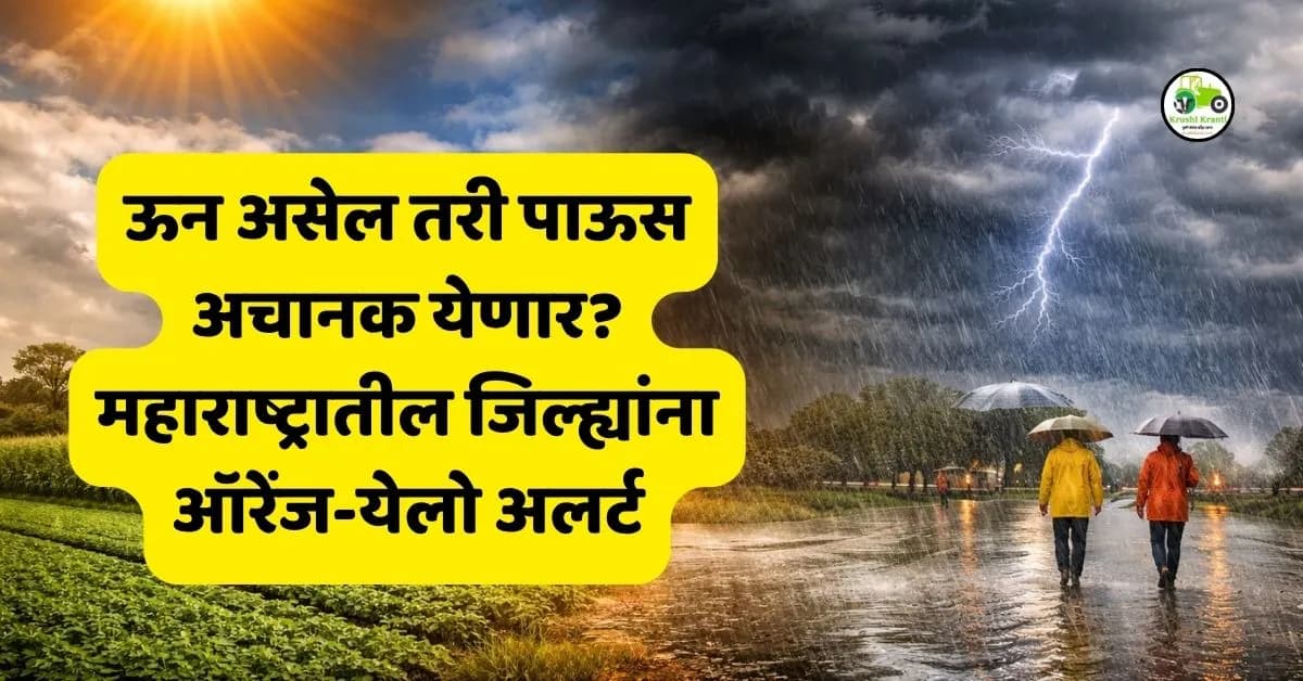ऊन असेल तरी पाऊस अचानक येणार? या जिल्ह्यांना अलर्ट
