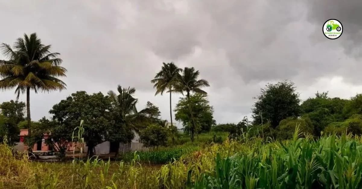 महाराष्ट्र हवामान अलर्ट: पुढील ५ दिवस वादळी पावसाचा इशारा, अनेक जिल्ह्यांना ऑरेंज-येलो अलर्ट